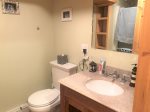Full Bath with Shower in Basement